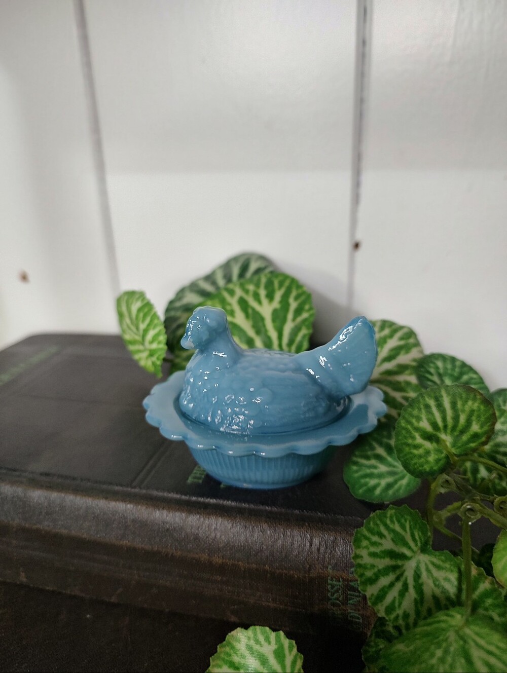 Mosser Georgia Blue Mini Hen On Nest